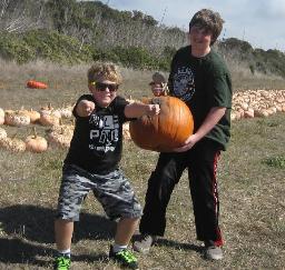 Santa Cruz Rodoni Farms Pumpkin Patch ~ 19,20,21OCT12... photograph by Russell Holder