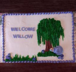 Willow's Baby Shower - 30JAN16