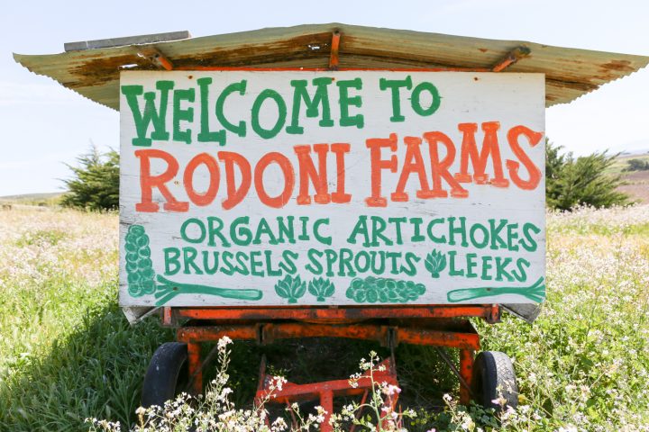 RODONI FARMS