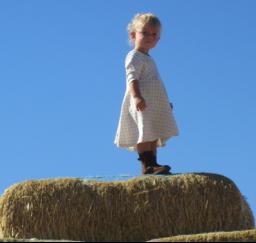 Willow at Pumpkin Patch - 24OCT17