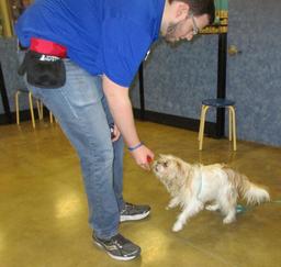 Lucy - February 19th 2019 at Petsmart