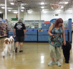 Penny assisting at PetsMart - 17SEP16