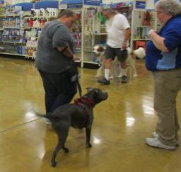 Penny assisting at PetsMart - 27JUL16