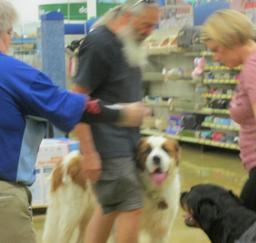 Penny assisting at PetsMart - 24SEP16