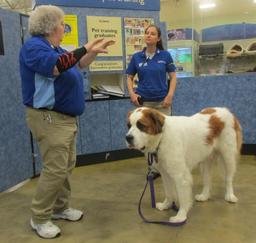 Penny assisting at PetsMart - 31OCT16