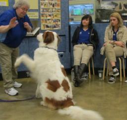 Penny assisting at PetsMart - 14JAN17