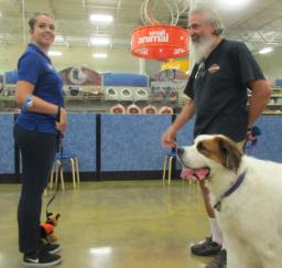 Penny assisting at PetsMart - 04SEP18