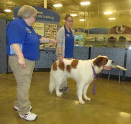 Penny assisting at PetsMart - 03JAN18