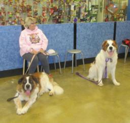 Penny assisting at PetsMart - 17JAN18