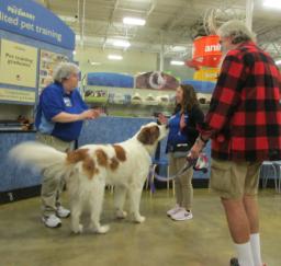 Penny assisting at PetsMart - 17APR18