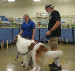 Penny assisting at PetsMart - 01MAY18