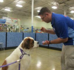 Penny assisting at PetsMart - 08AUG18