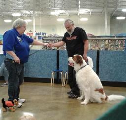 Penny & Lucy assisting at PetsMart - 17DEC19