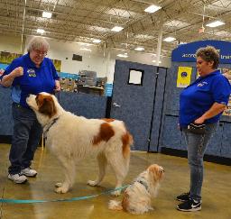 Penny assisting at PetsMart - 15OCT19