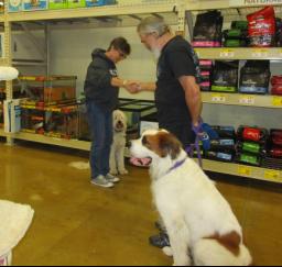 Penny assisting at PetsMart - 11NOV18