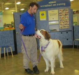 Penny assisting at PetsMart - 20NOV18