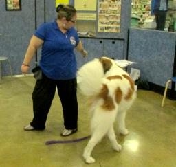 Penny assisting at PetsMart - 11DEC18