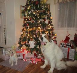 Penny and Lucy wait for Santa - 22DEC18