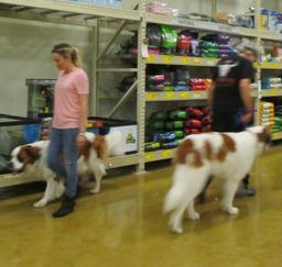 Penny assisting at PetsMart - 20JAN19