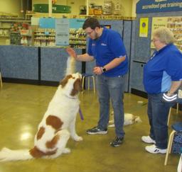 Penny assisting at PetsMart - 19FEB19