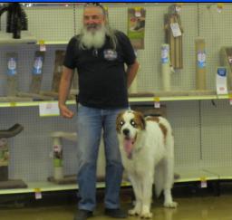 Penny assisting at PetsMart - 16MAY16