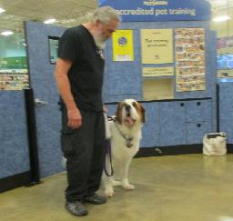 Penny assisting at PetsMart - 09APR19