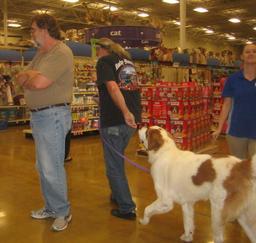 PETSMART - Advanced Puppy Traing - 19OCT13,...,21DEC13